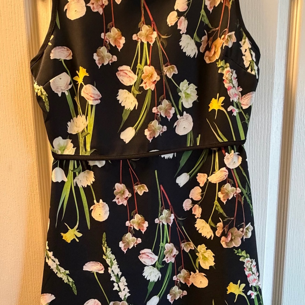 Victoria Beckham for Target Black and Green Floral Dress